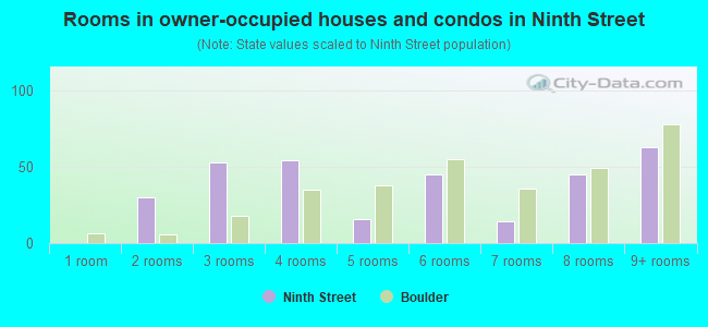 Rooms in owner-occupied houses and condos in Ninth Street