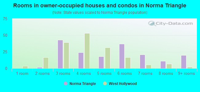 Rooms in owner-occupied houses and condos in Norma Triangle