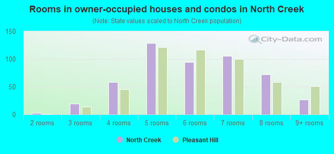Rooms in owner-occupied houses and condos in North Creek