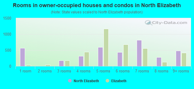 Rooms in owner-occupied houses and condos in North Elizabeth
