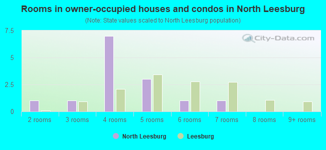 Rooms in owner-occupied houses and condos in North Leesburg