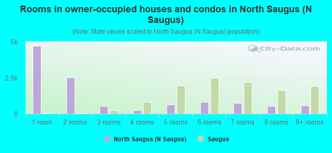 Rooms in owner-occupied houses and condos in North Saugus (N Saugus)