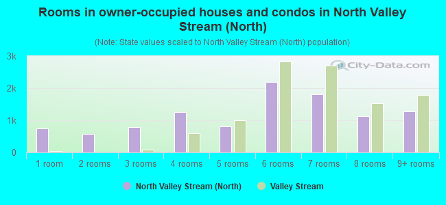 Rooms in owner-occupied houses and condos in North Valley Stream (North)
