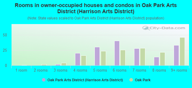 Rooms in owner-occupied houses and condos in Oak Park Arts District (Harrison Arts District)