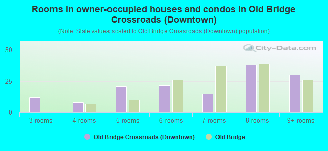Rooms in owner-occupied houses and condos in Old Bridge Crossroads (Downtown)
