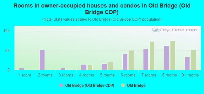Rooms in owner-occupied houses and condos in Old Bridge (Old Bridge CDP)