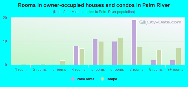 Rooms in owner-occupied houses and condos in Palm River