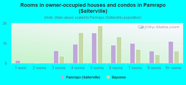 Rooms in owner-occupied houses and condos in Pamrapo (Salterville)