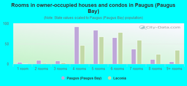 Rooms in owner-occupied houses and condos in Paugus (Paugus Bay)
