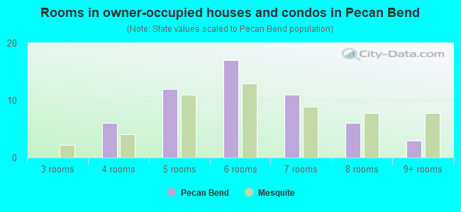 Rooms in owner-occupied houses and condos in Pecan Bend
