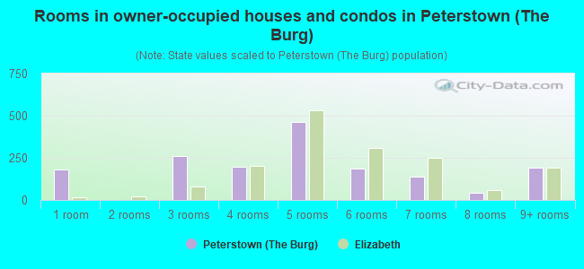 Rooms in owner-occupied houses and condos in Peterstown (The Burg)