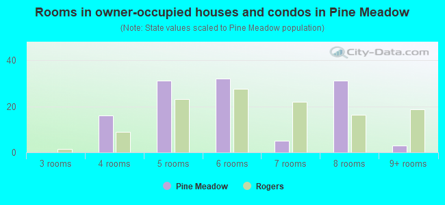 Rooms in owner-occupied houses and condos in Pine Meadow