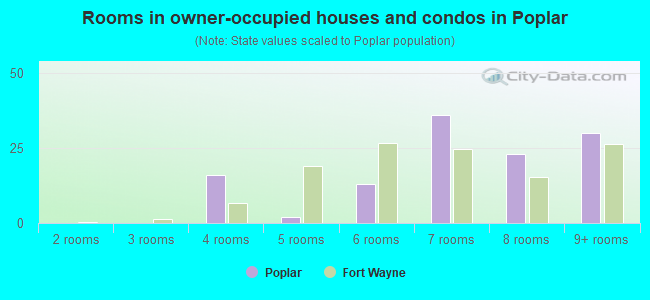 Rooms in owner-occupied houses and condos in Poplar