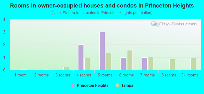 Rooms in owner-occupied houses and condos in Princeton Heights