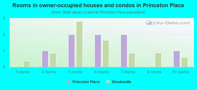 Rooms in owner-occupied houses and condos in Princeton Place