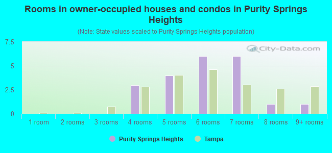 Rooms in owner-occupied houses and condos in Purity Springs Heights
