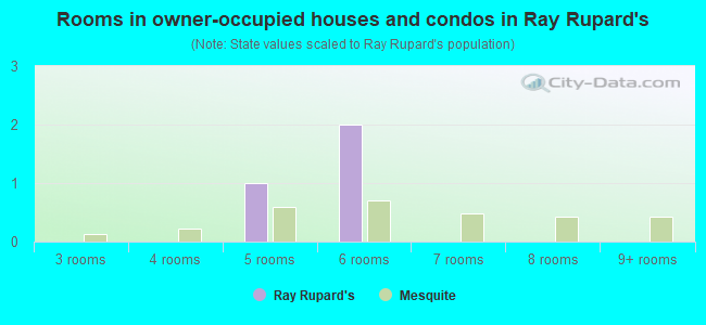 Rooms in owner-occupied houses and condos in Ray Rupard's