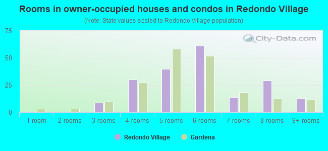 Rooms in owner-occupied houses and condos in Redondo Village