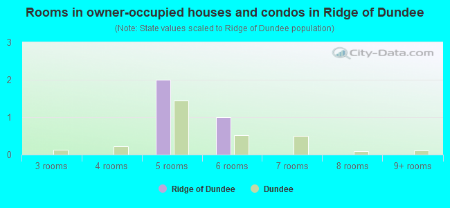 Rooms in owner-occupied houses and condos in Ridge of Dundee