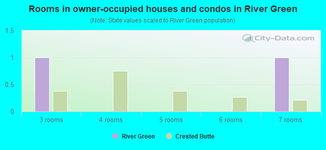 Rooms in owner-occupied houses and condos in River Green
