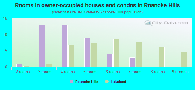 Rooms in owner-occupied houses and condos in Roanoke Hills