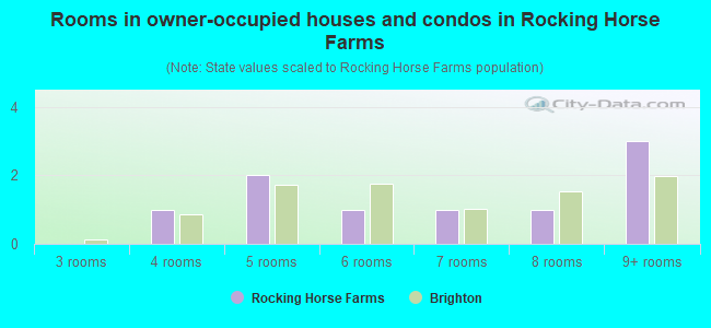 Rooms in owner-occupied houses and condos in Rocking Horse Farms