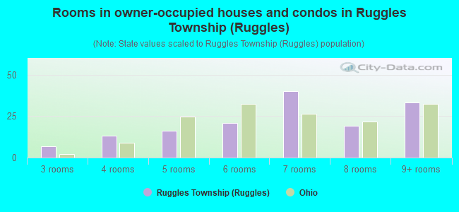 Rooms in owner-occupied houses and condos in Ruggles Township (Ruggles)