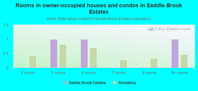 Rooms in owner-occupied houses and condos in Saddle Brook Estates