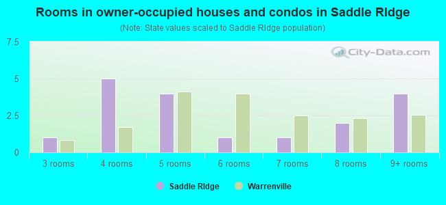 Rooms in owner-occupied houses and condos in Saddle RIdge
