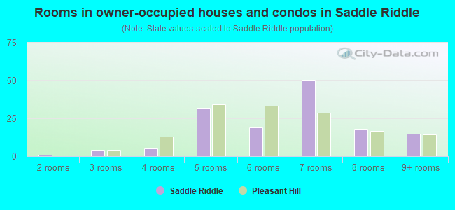 Rooms in owner-occupied houses and condos in Saddle Riddle