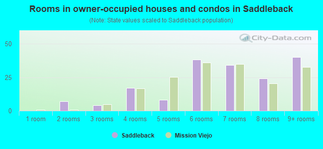 Rooms in owner-occupied houses and condos in Saddleback