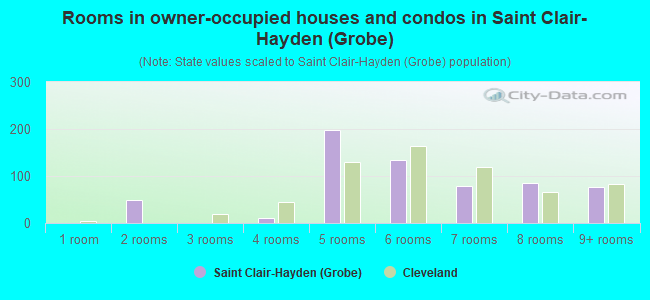 Rooms in owner-occupied houses and condos in Saint Clair-Hayden (Grobe)