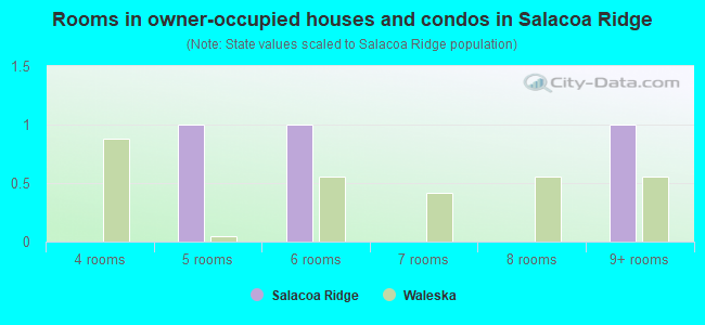 Rooms in owner-occupied houses and condos in Salacoa Ridge