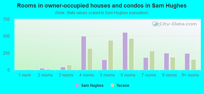 Rooms in owner-occupied houses and condos in Sam Hughes