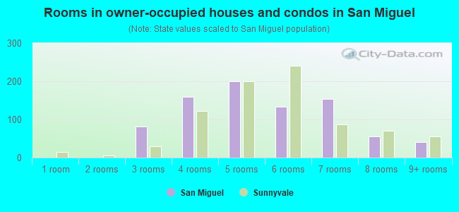 Rooms in owner-occupied houses and condos in San Miguel