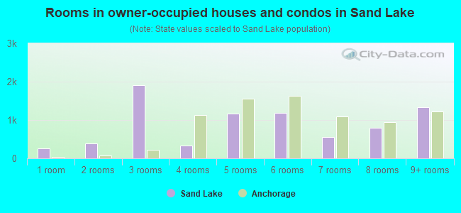 Rooms in owner-occupied houses and condos in Sand Lake