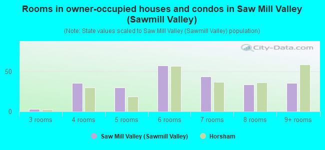 Rooms in owner-occupied houses and condos in Saw Mill Valley (Sawmill Valley)