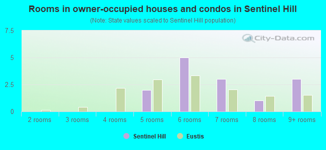 Rooms in owner-occupied houses and condos in Sentinel Hill