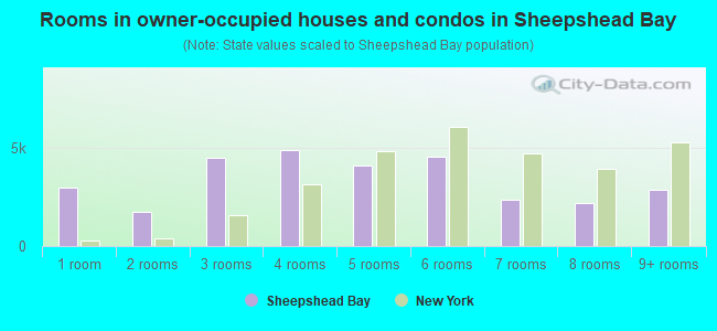 Rooms in owner-occupied houses and condos in Sheepshead Bay