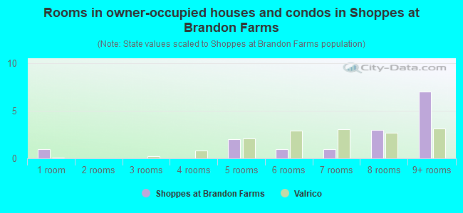 Rooms in owner-occupied houses and condos in Shoppes at Brandon Farms