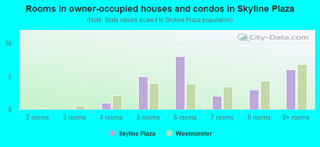 Rooms in owner-occupied houses and condos in Skyline Plaza