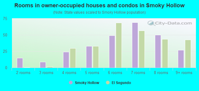 Rooms in owner-occupied houses and condos in Smoky Hollow