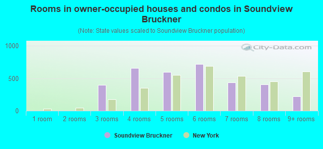 Rooms in owner-occupied houses and condos in Soundview Bruckner