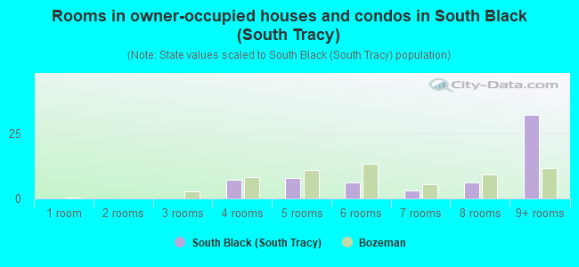 Rooms in owner-occupied houses and condos in South Black (South Tracy)