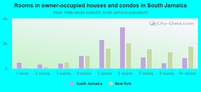 Rooms in owner-occupied houses and condos in South Jamaica