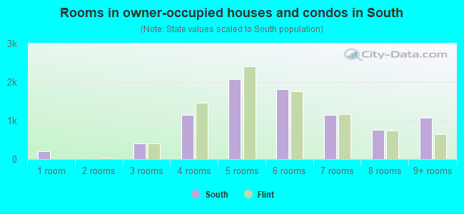 Rooms in owner-occupied houses and condos in South