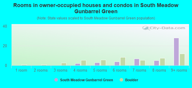 Rooms in owner-occupied houses and condos in South Meadow Gunbarrel Green