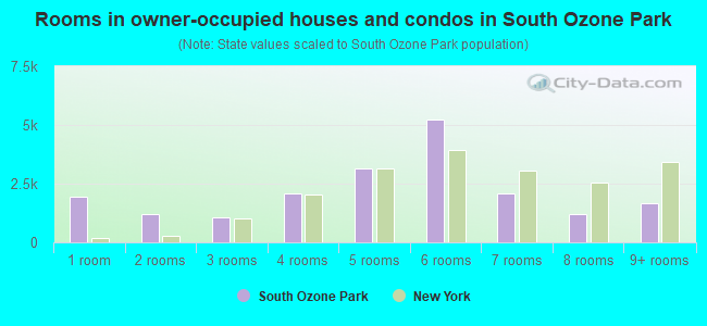 Rooms in owner-occupied houses and condos in South Ozone Park
