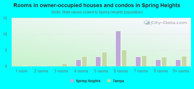 Rooms in owner-occupied houses and condos in Spring Heights