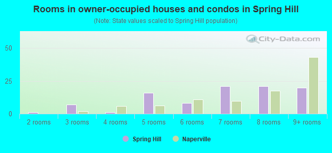Rooms in owner-occupied houses and condos in Spring Hill